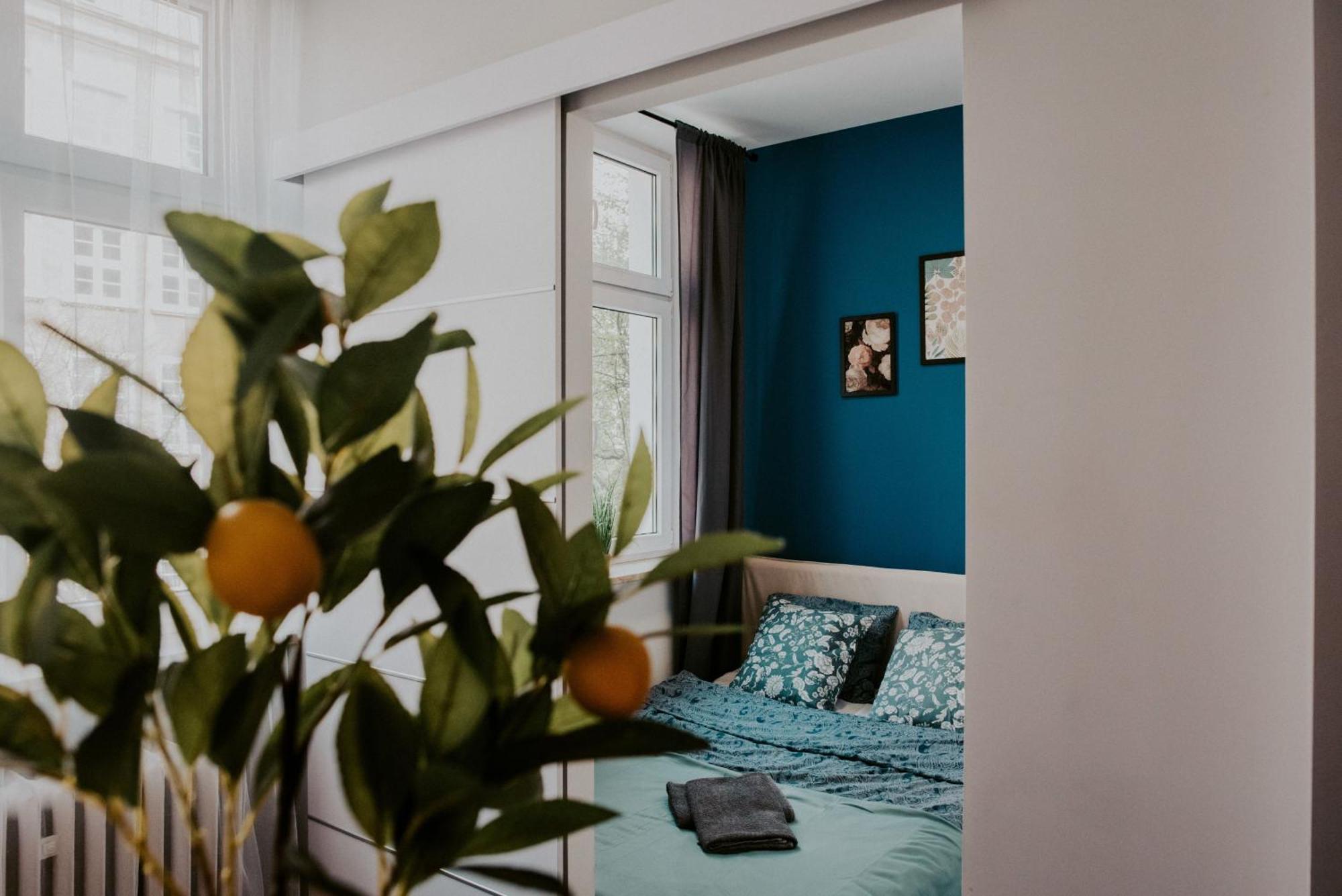 Lemon Tree Sw Ducha